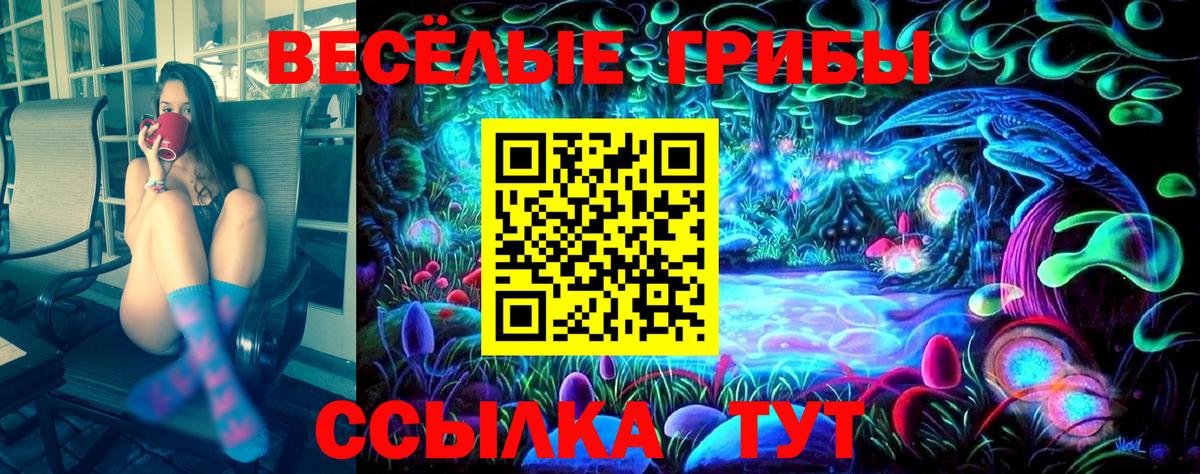 Старая Купавна  Псилоцибиновые грибы ЛСД  Псилоцибиновые грибы Psilocybe  наркотики  Вход с VPN 